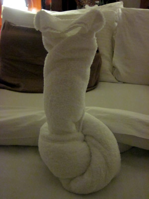 today's mediocre towel animal - snake