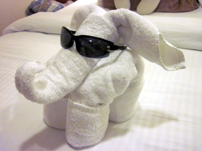 finally, a good towel animal properly fitted with eyes/eyewear