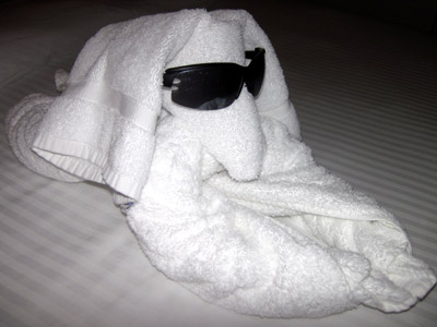 towel animal of the day - cool dog